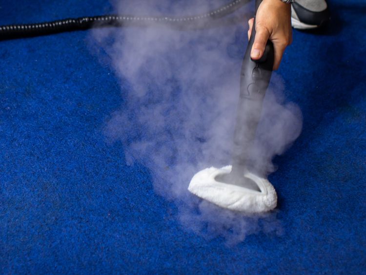 Commercial Carpet Cleaning Burnsville Mn