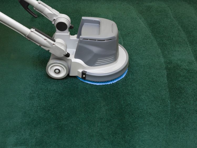 Commercial Carpet Cleaning Eagan Mn