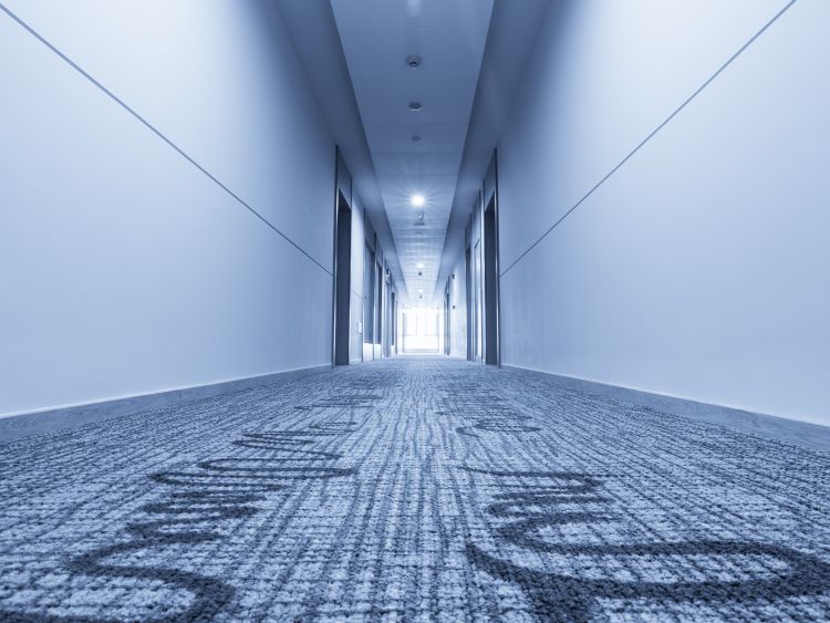Commercial Carpet Cleaning Minnetonka Mn