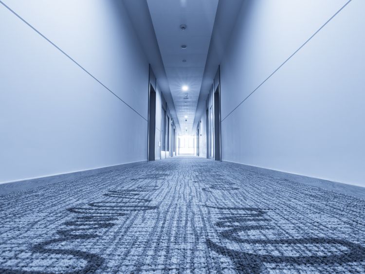 Commercial Carpet Cleaning Near Me Bloomington Mn