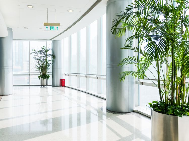 Commercial Cleaning Near Me Ramsey County Mn