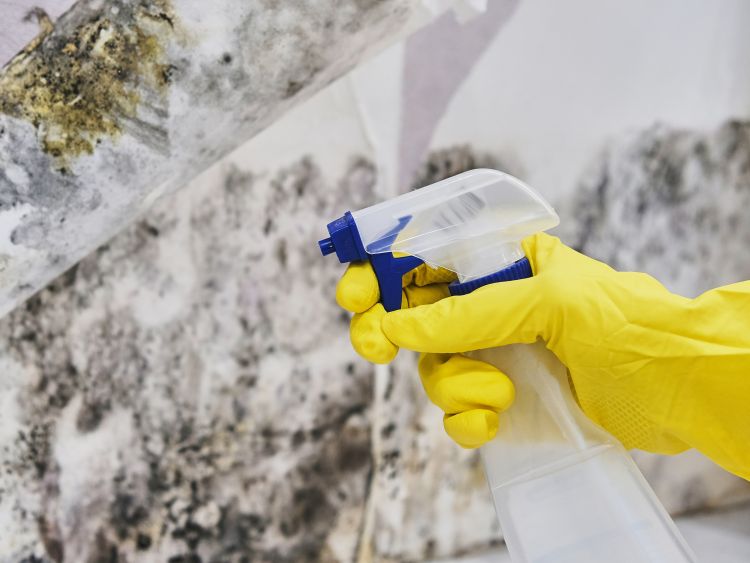 Environmental Cleaning Near Me Ramsey County Mn